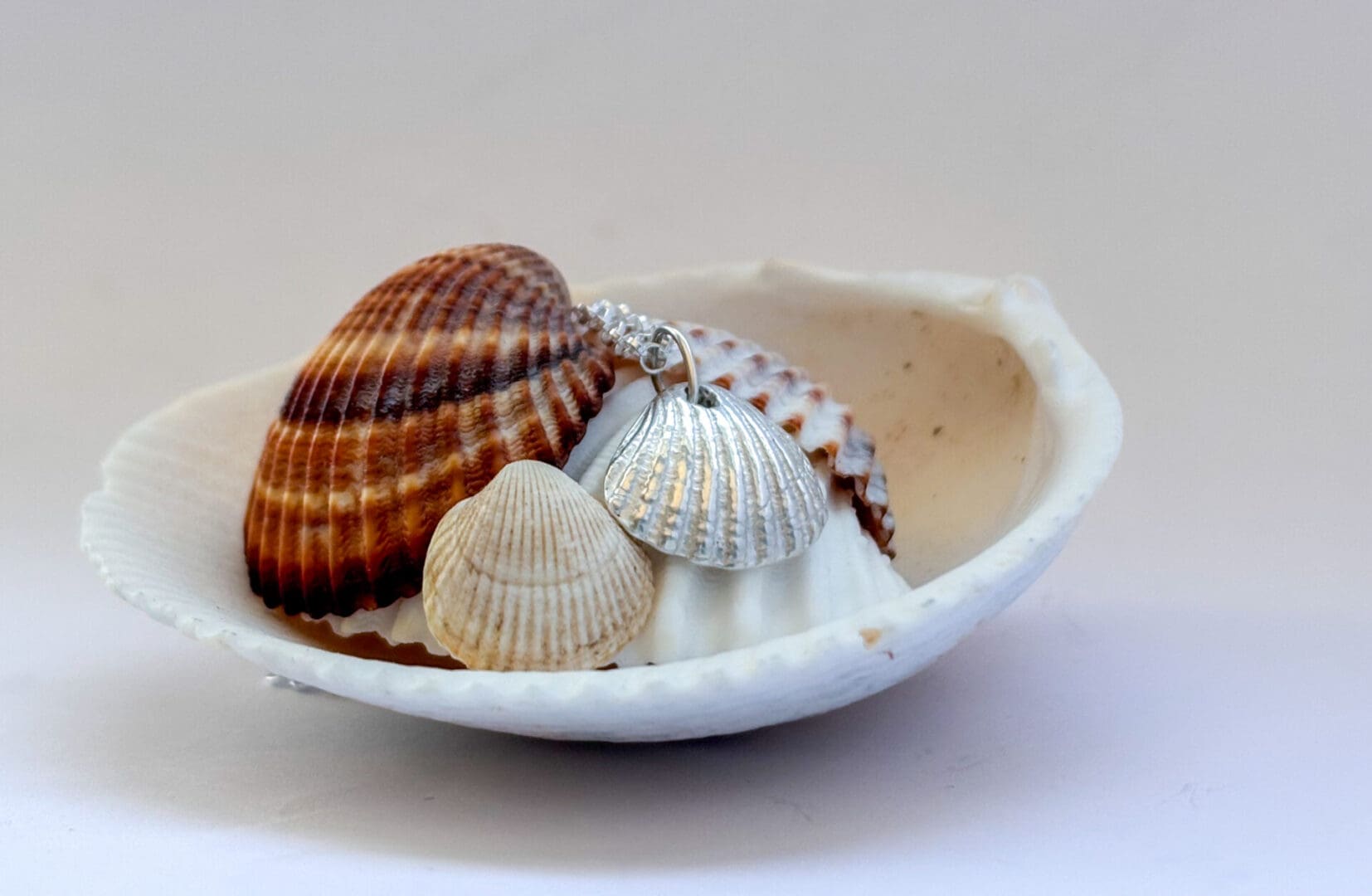 Clam shell pendant