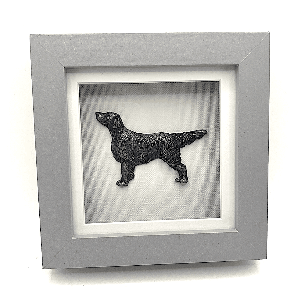 Flat coated retriever Relief sculpture in cold cast metal mounted in a small box frame by sculptor Kirsty Armstrong