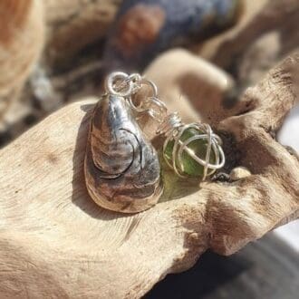 A silver mussel shell with a nugget of green sea glass wrapped in silver wire displayed on a piece of driftwood