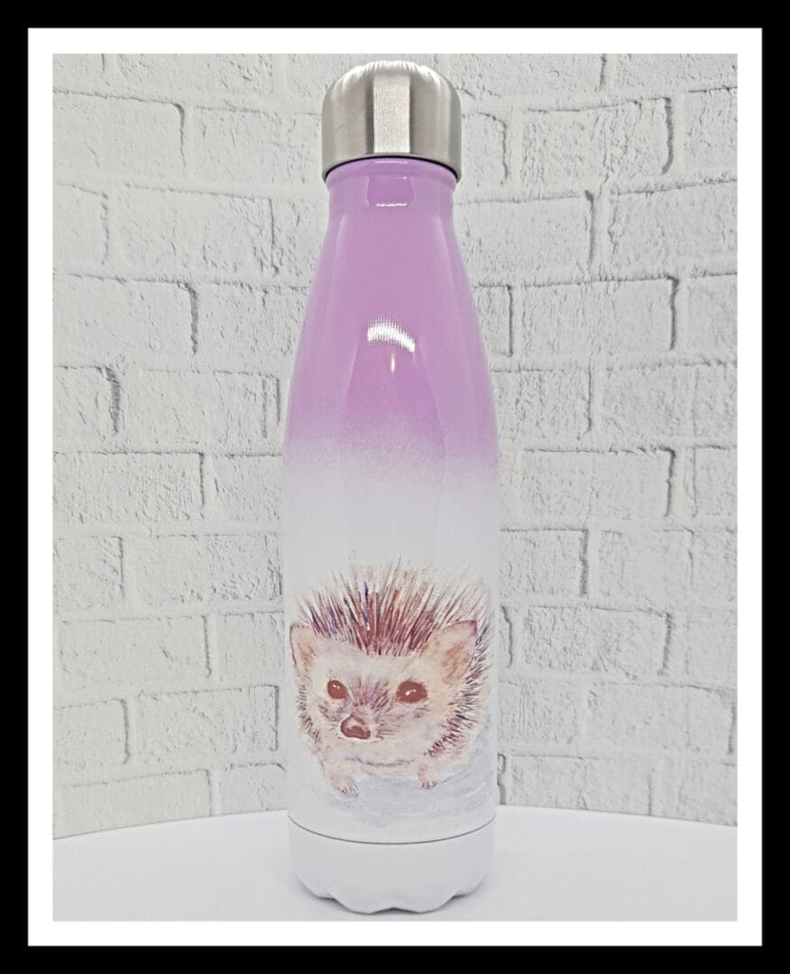 Stainless Steel Double walled drinks bottle featuring hedgehog artwork