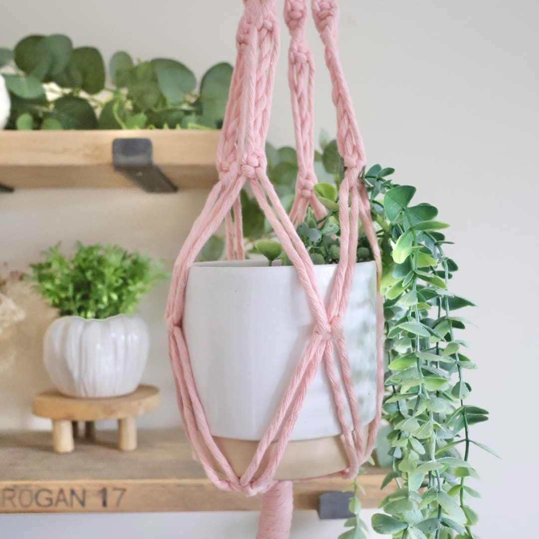 DIY Plant Hanger