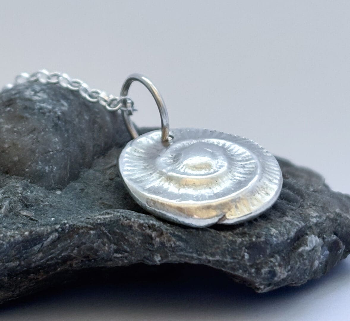 silver ammonite