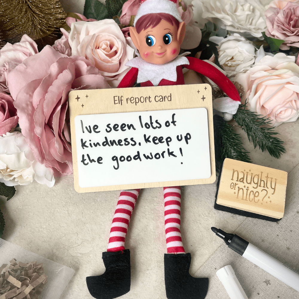 elf on the shelf behaviour report