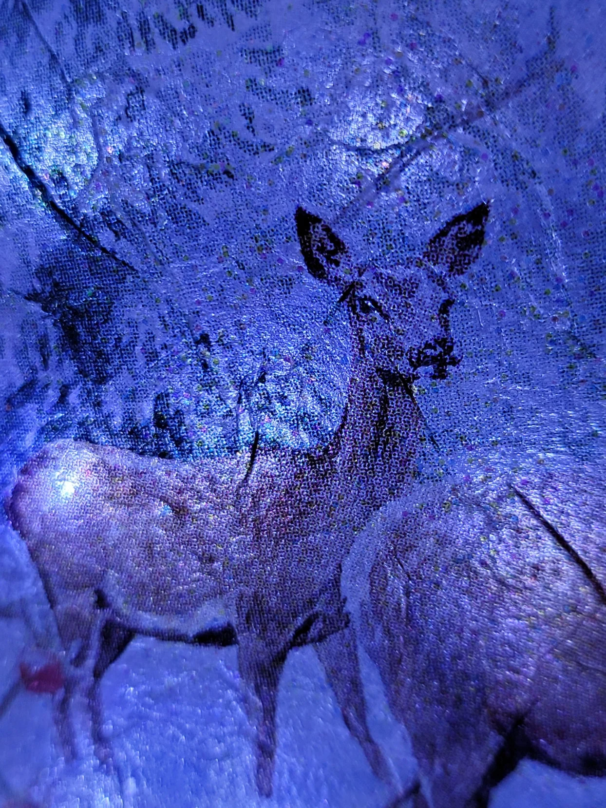 fawn detailing on a lit up bottle with cold background