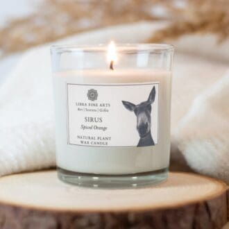 Donkey Spiced Orange Candle by Libra Fine Arts