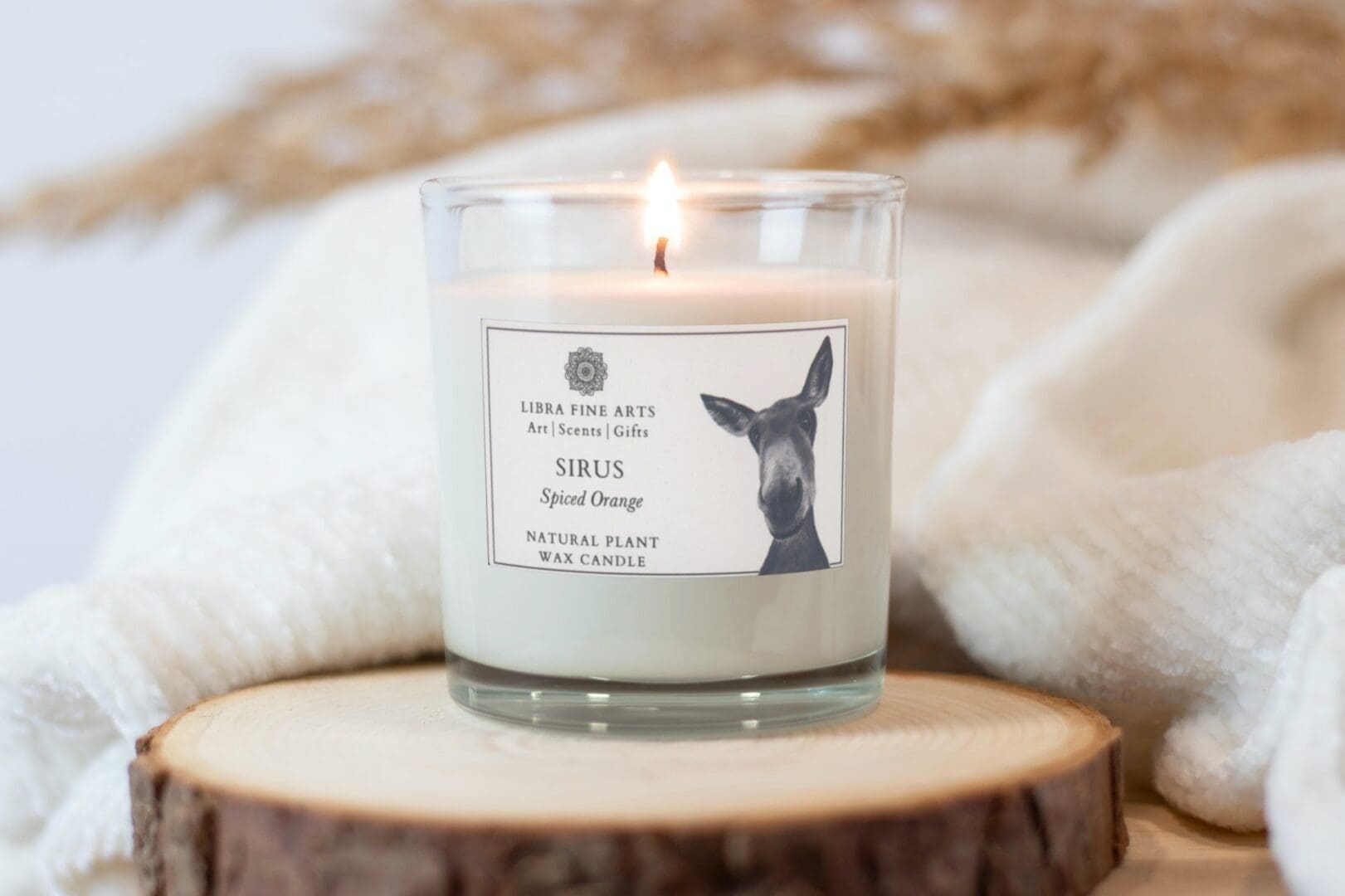 Donkey Spiced Orange Candle by Libra Fine Arts