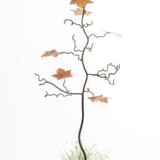 7 Maple leaf tree sculpture with 7 marine grade stainless steel colourful leaves. bird feeder, gift for gardeners and gift for bird lovers, Chelsea Flower Show, RHS Wisley, designed by Mark Reed, bird feeder stand. Iron and steel wedding anniversary.