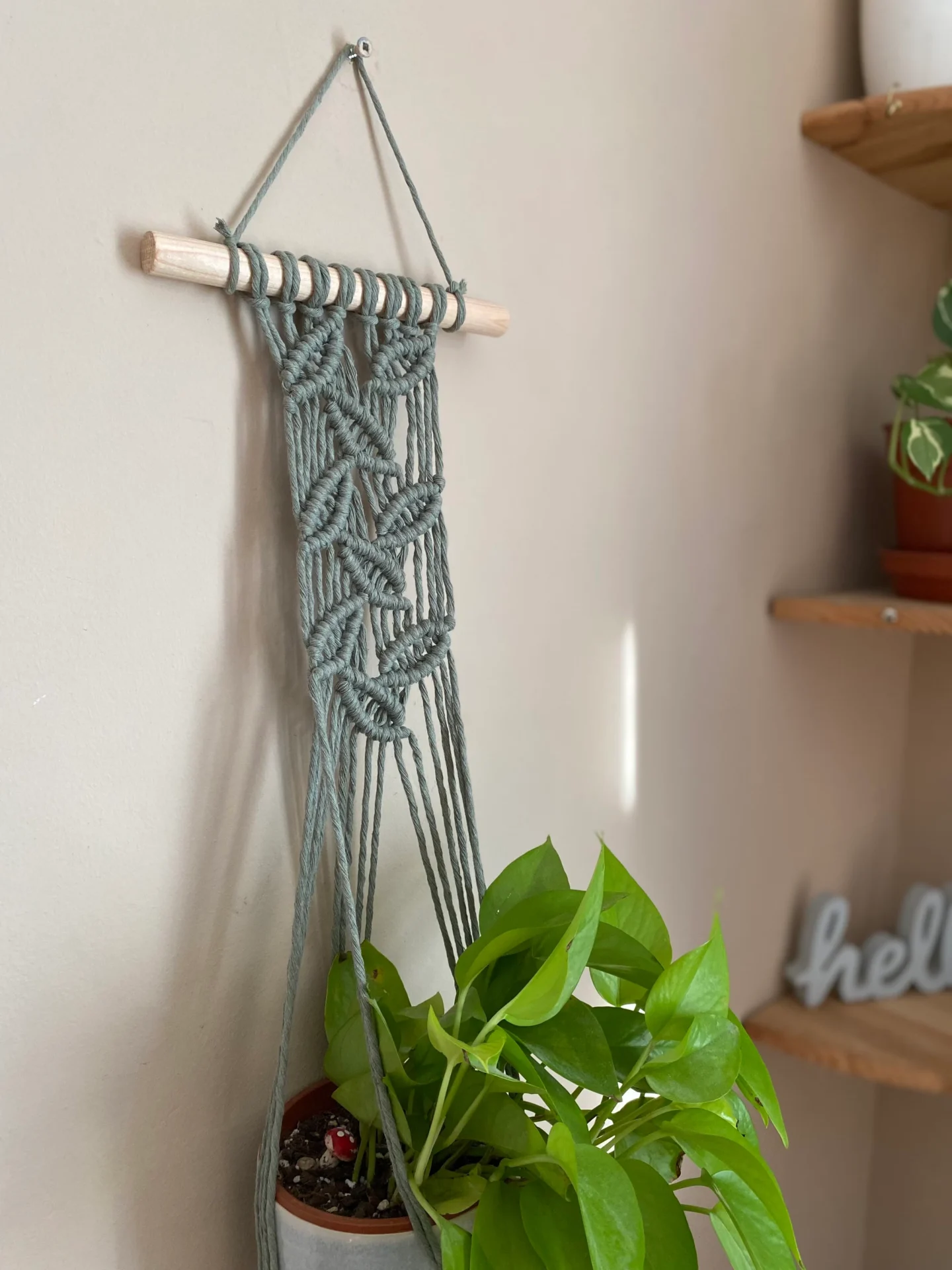 Wall hanging indoor plant hanger made with sage green recycled cotton