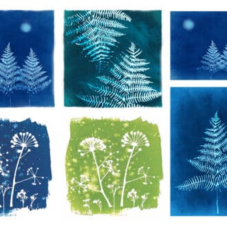 cyanotype card selection