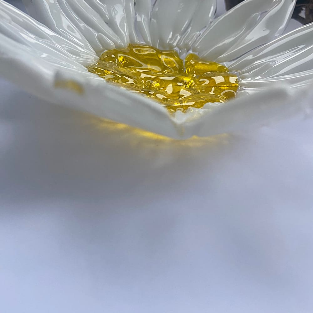 Fused glass daisy dish in white and yellow.