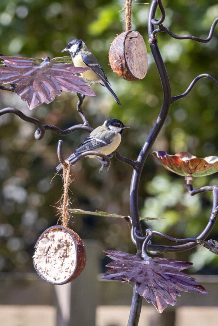 Great Tit wild birds on Maple leaf bird feeder tree, sculptural unusual bird feeding station, unique and handmade in the UK. Robust and sturdy bird feeder stand. Garden gifts for him. Gifts for gardeners. Gifts for plant lovers, garden art maple tree