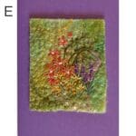 E Purple card £0.00