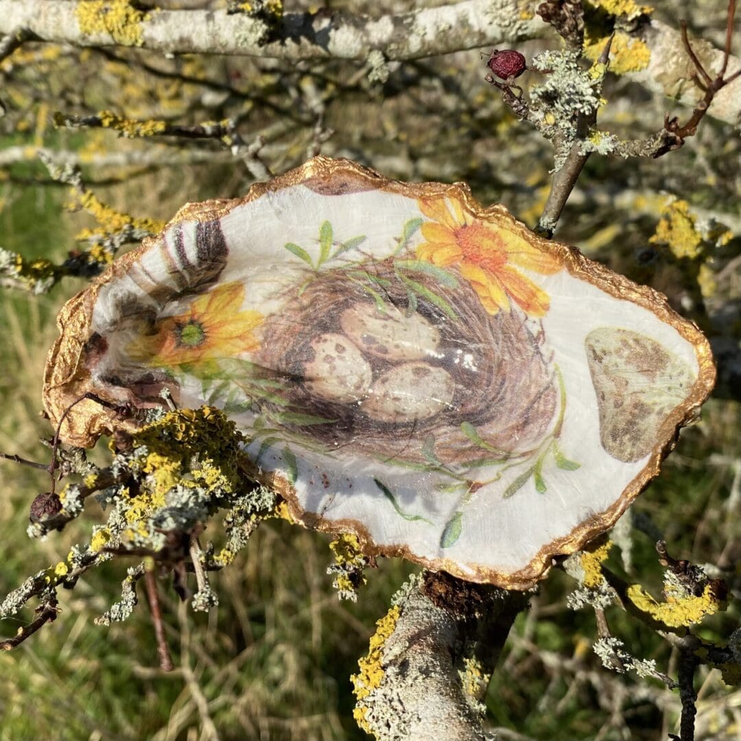 Decoupaged shell with eggs