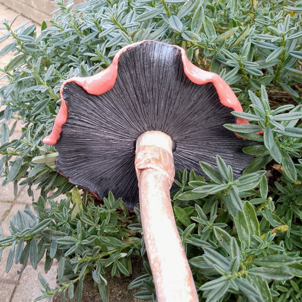 Red and White Spotty Ceramic Mushroom