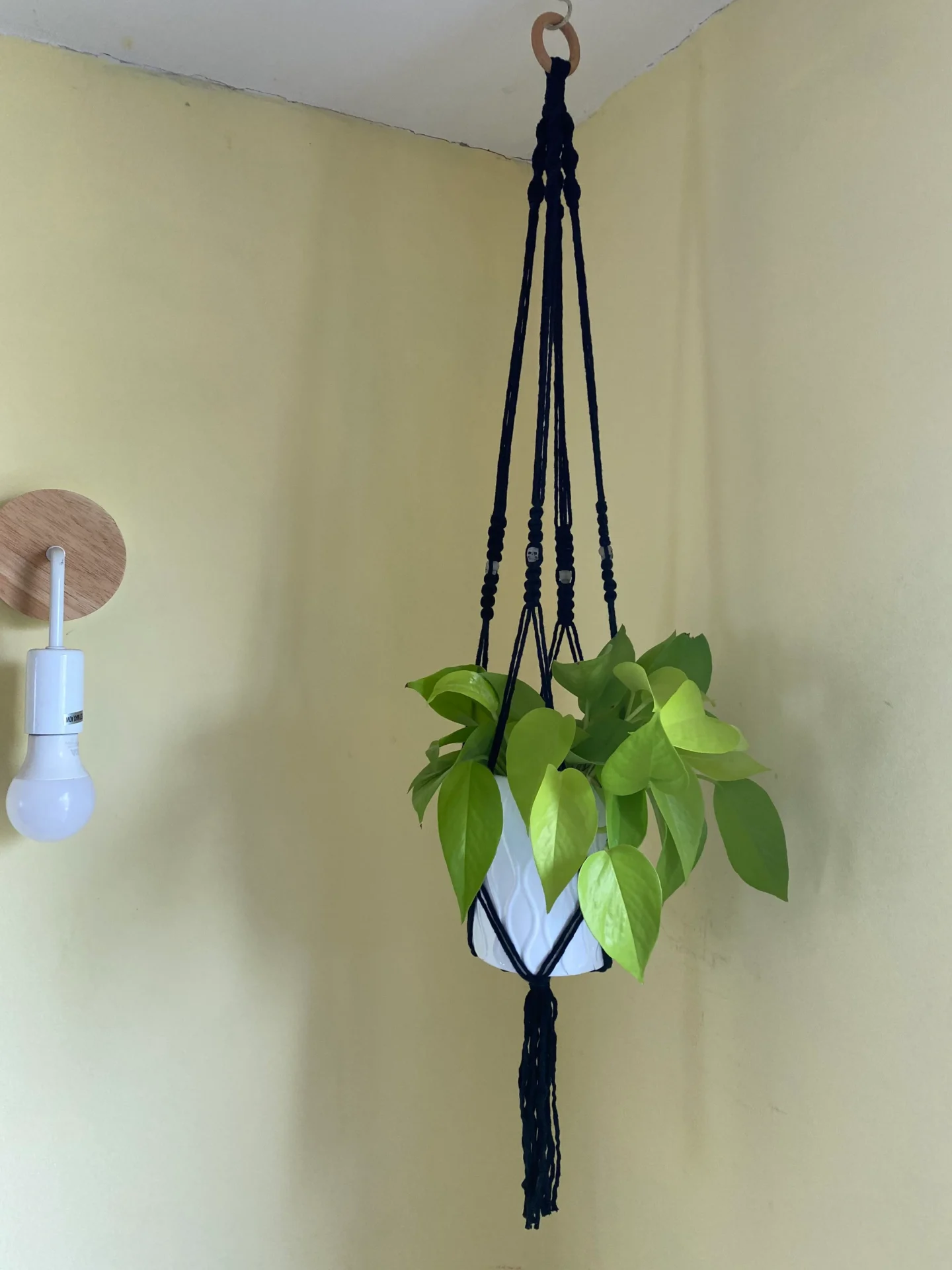 Macrame plant hanger, made with recycled cotton and skull beads