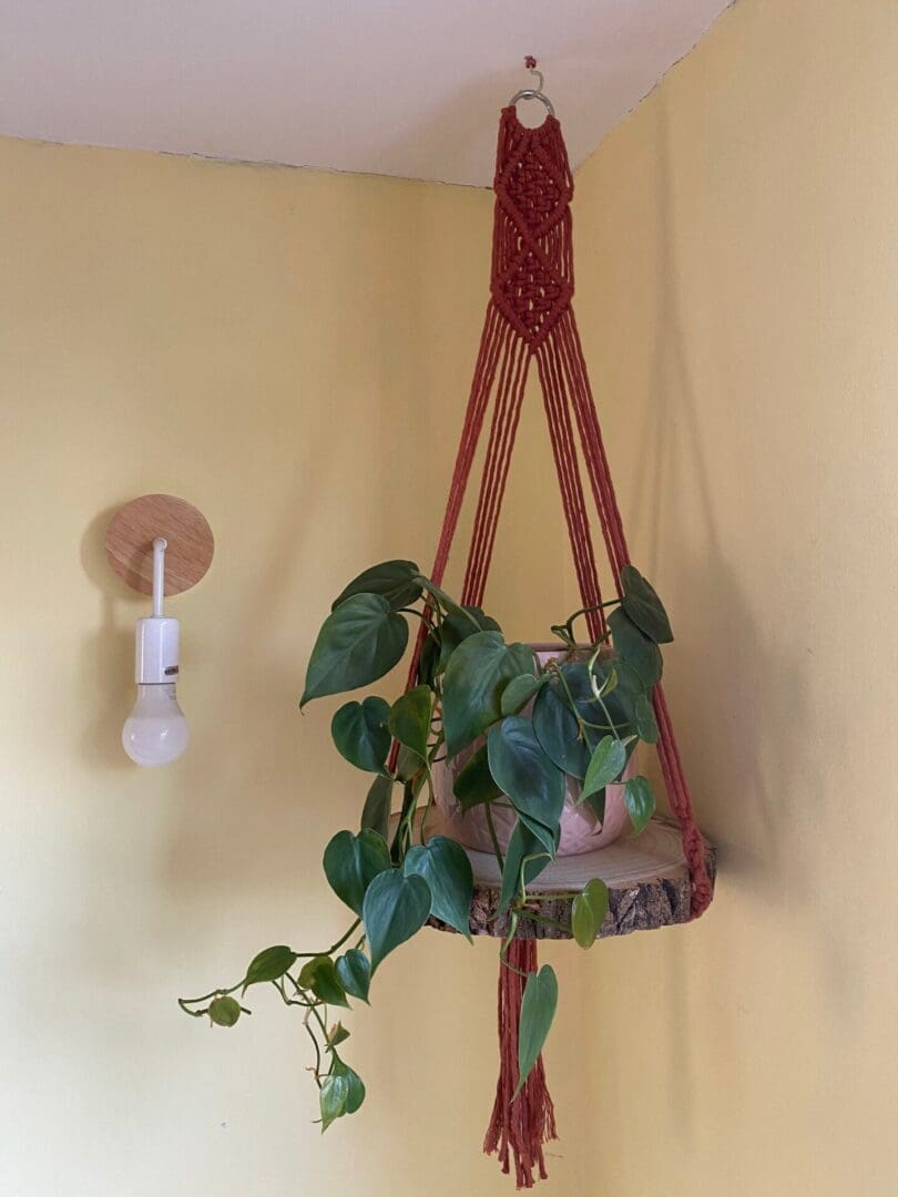 Macrame hanging shelf made with natural wood slice and recycled cotton yarn