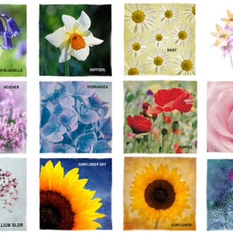 Botanical greeting card choices