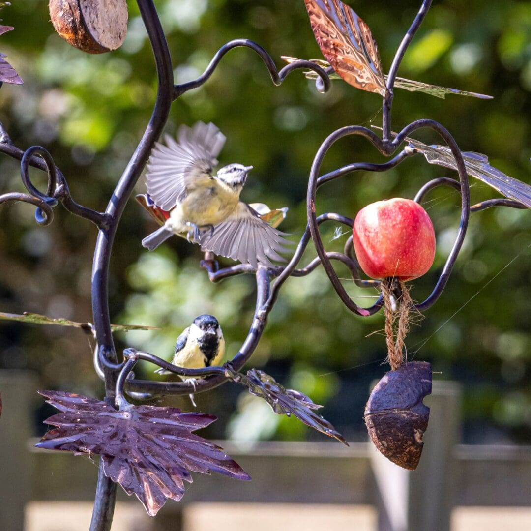 Great Tit wild birds on Maple leaf bird feeder tree, sculptural unusual bird feeding station, unique and handmade in the UK. Robust and sturdy bird feeder stand. Garden gifts for him. Gifts for gardeners. Gifts for plant lovers, garden art maple tree