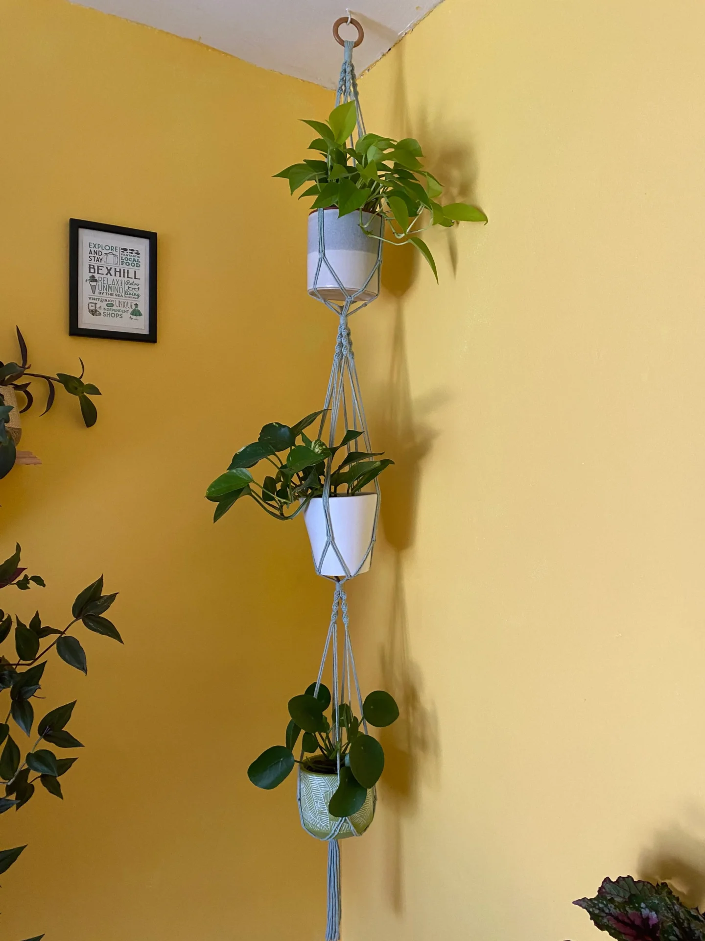 Large, triple macrame plant hanger made with recycled cotton