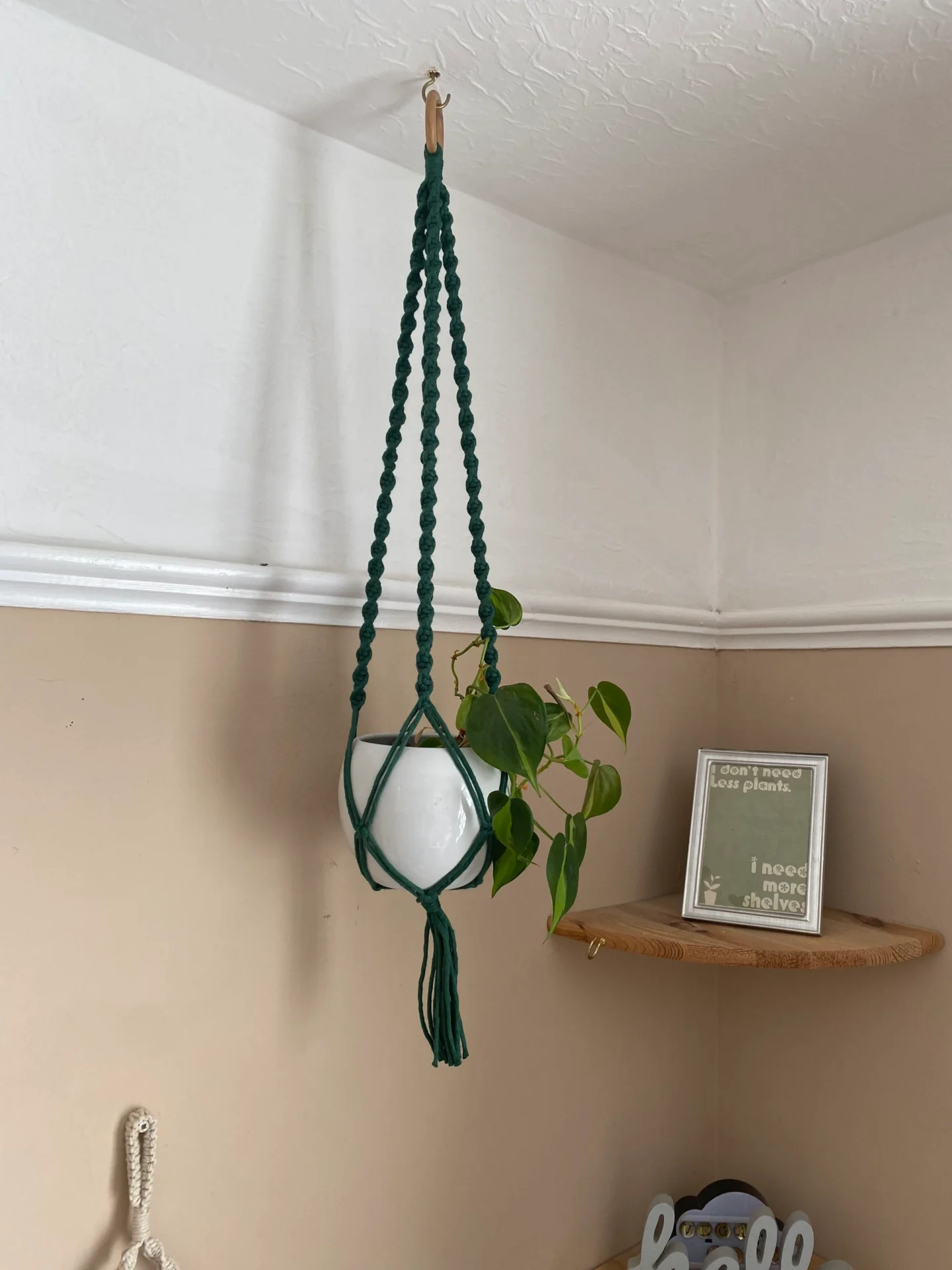 Twisted macrame plant hanger made with pine green recycled cotton