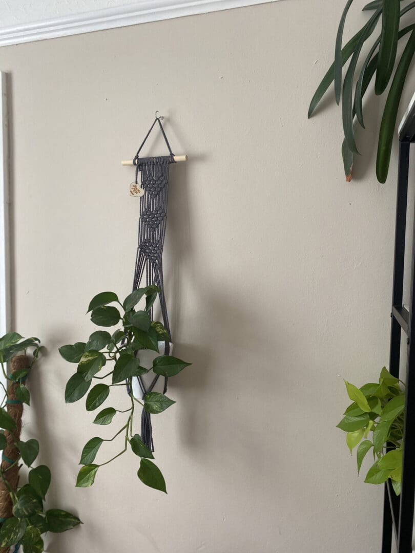 Wall hanging plant holder made with grey recycled cotton