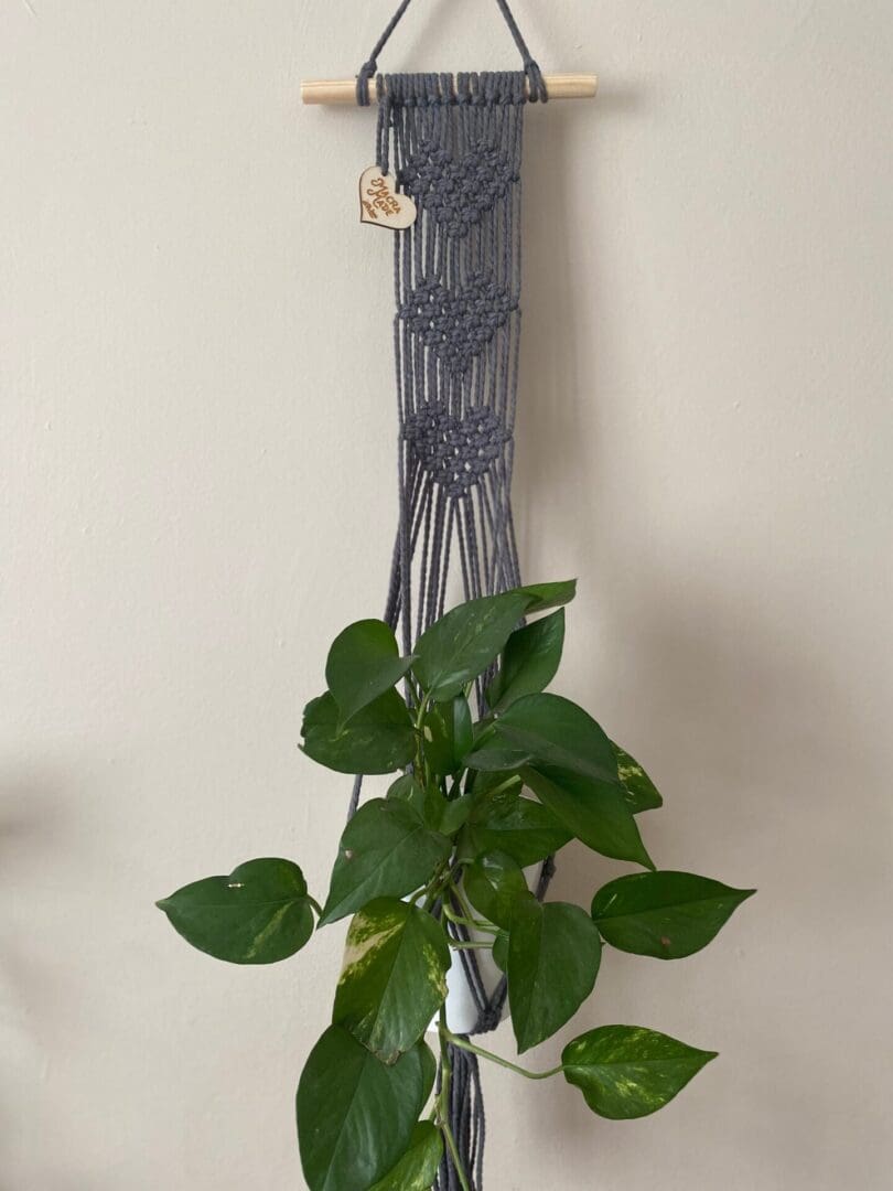 Wall hanging plant holder made with grey recycled cotton