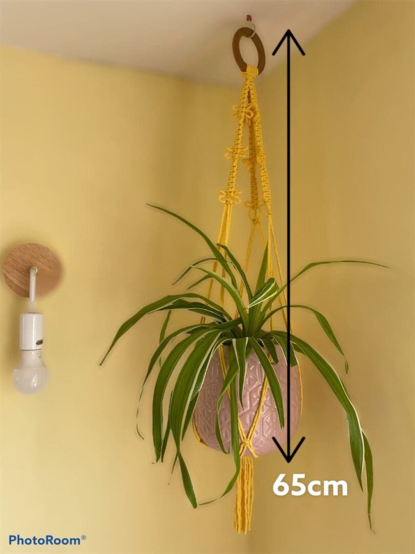 Yellow macrame plant hanger made with recycled cotton.