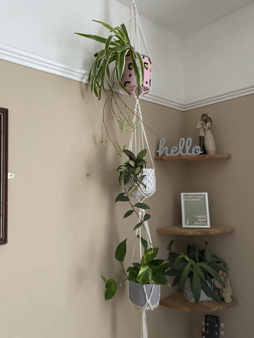 Triple plant holder, macrame plant hanger, made with natural recycled cotton