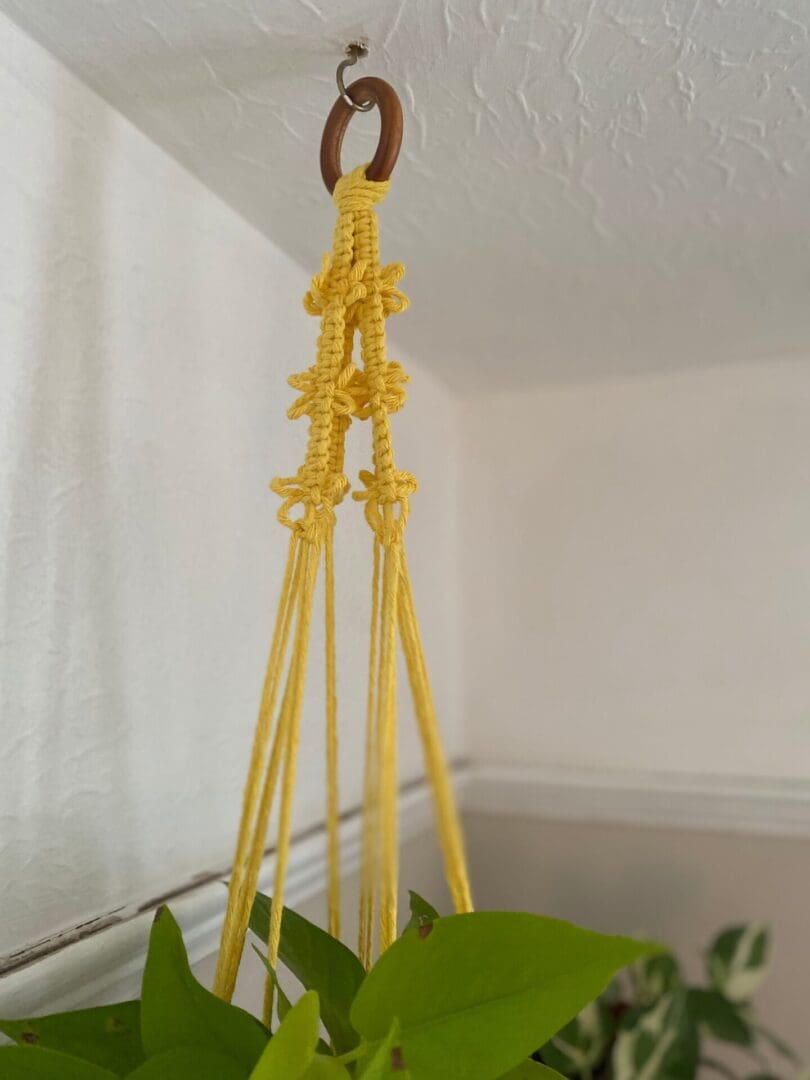 Yellow macrame plant hanger made with recycled cotton.