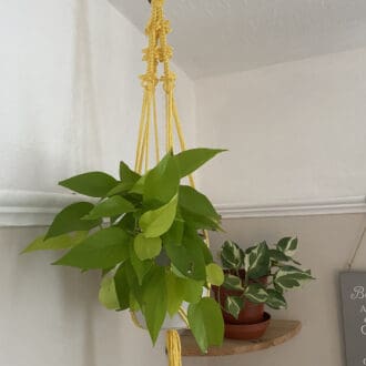 Yellow macrame plant hanger made with recycled cotton.