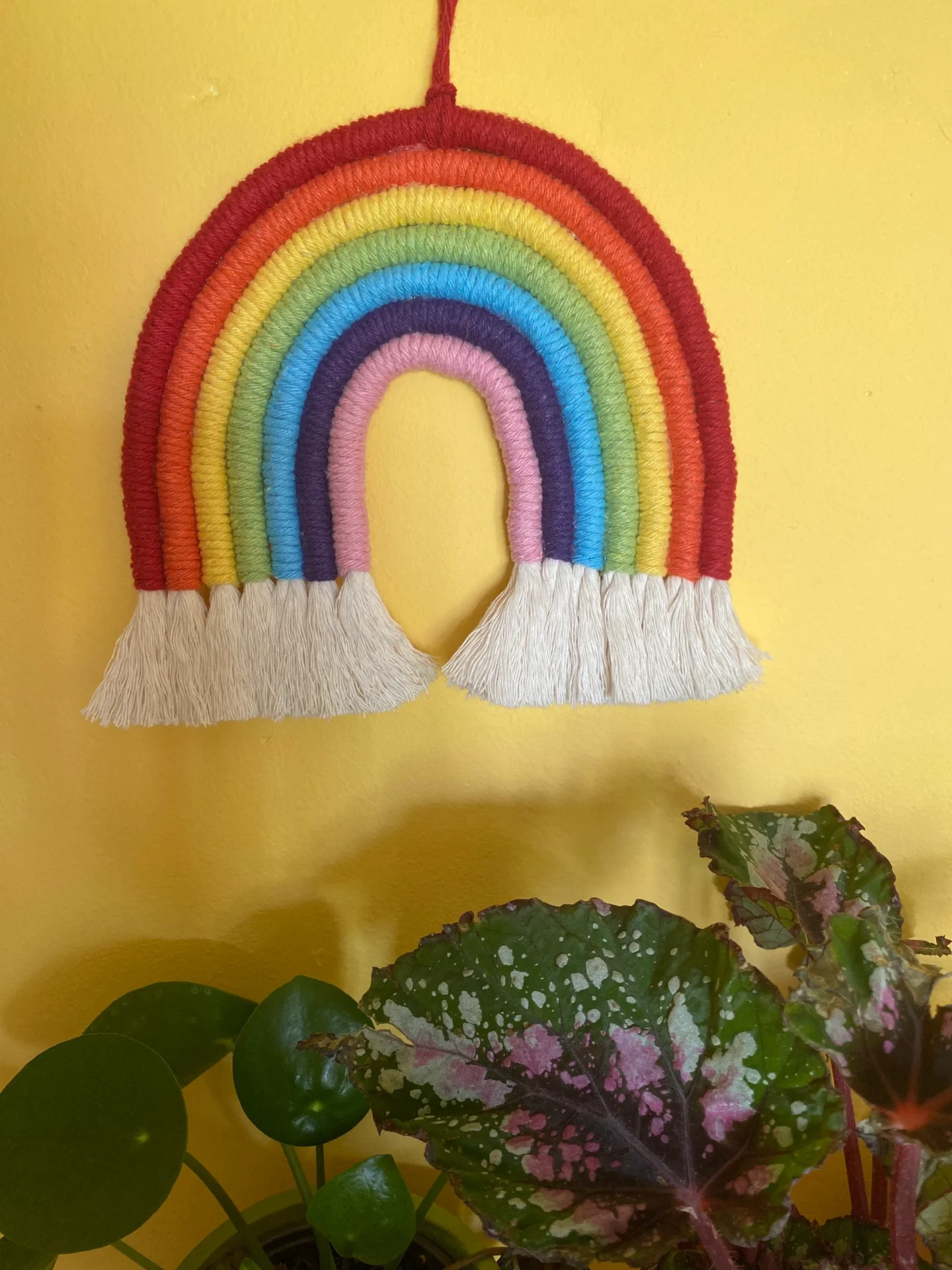 Macrame rainbow wall hanging decoration, made with 7 vibrant colours of recycled cotton