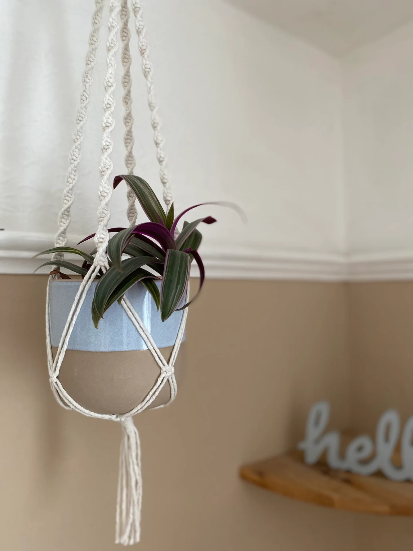 Twisted macrame plant hanger made with natural recycled cotton