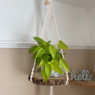 Macrame hanging shelf made with natural wood slice and recycled cotton yarn