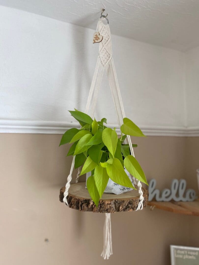 Macrame hanging shelf made with natural wood slice and recycled cotton yarn