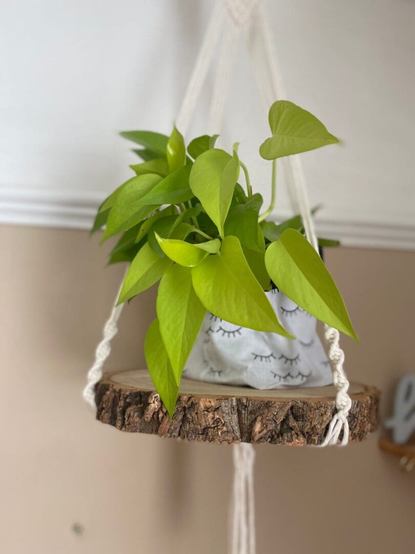 Macrame hanging shelf made with natural wood slice and recycled cotton yarn