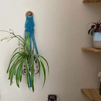 Macrame detailed wall hanging plant holder, made with recycled cotton