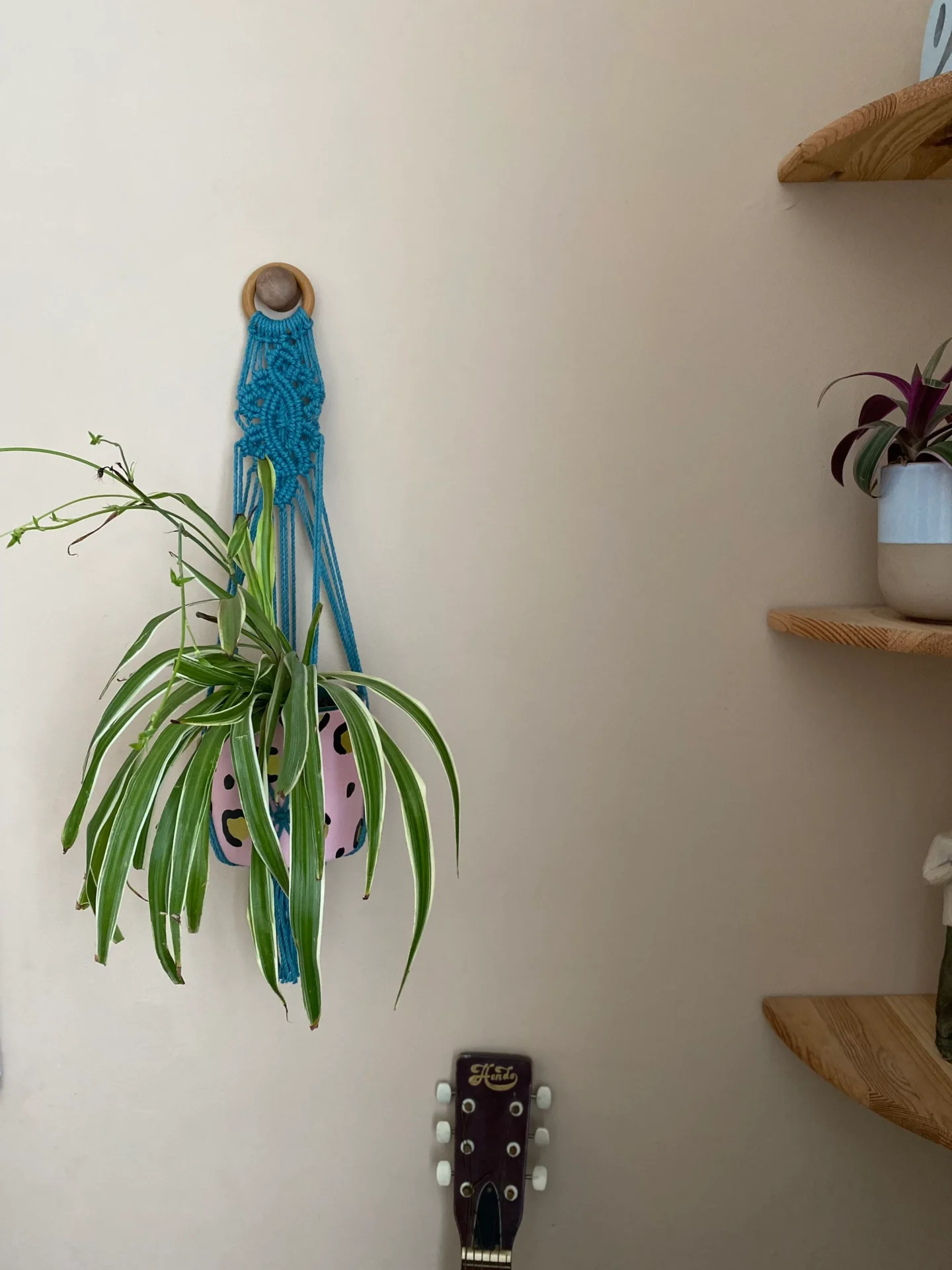 Macrame detailed wall hanging plant holder, made with recycled cotton