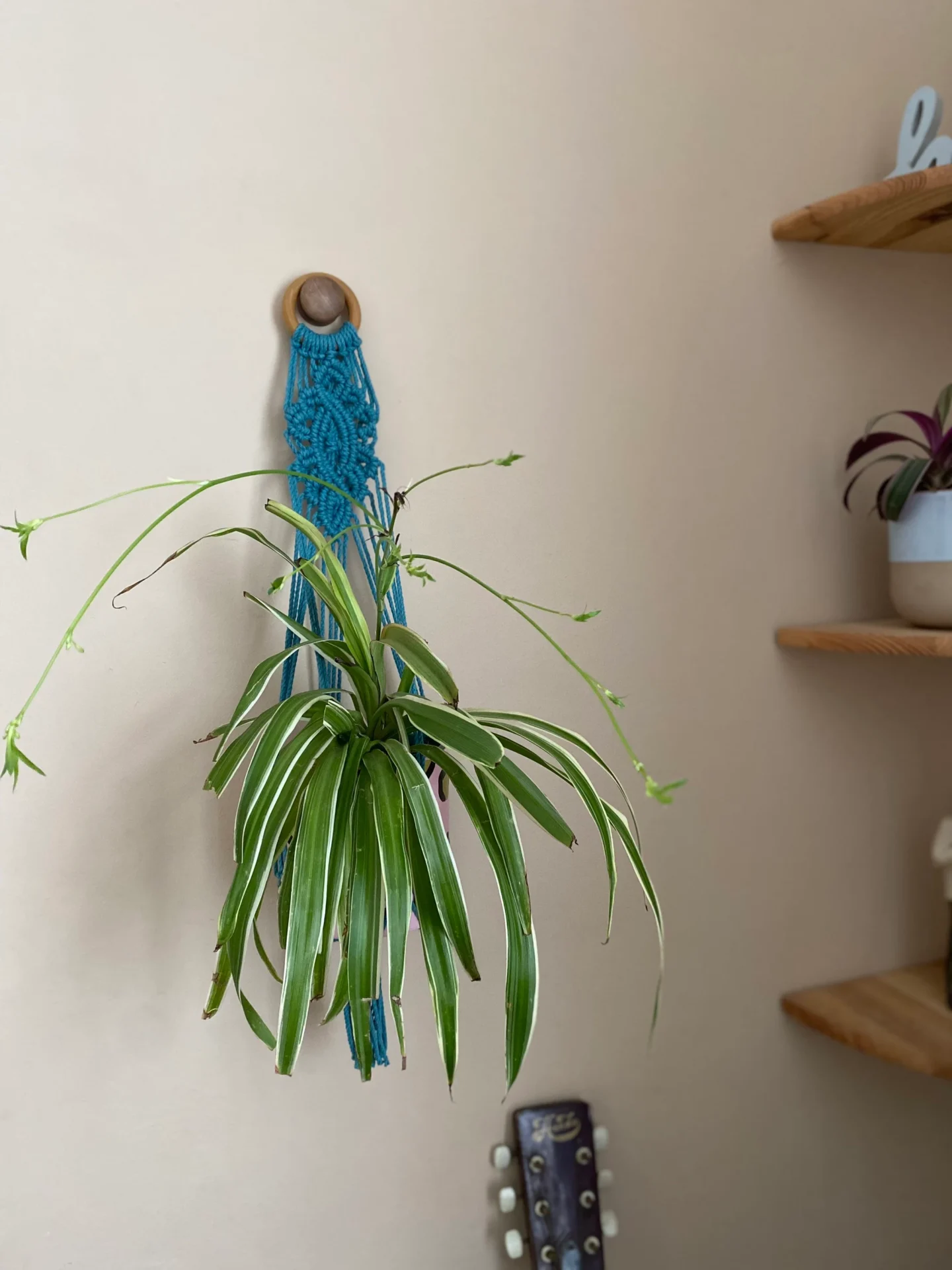 Macrame detailed wall hanging plant holder, made with recycled cotton