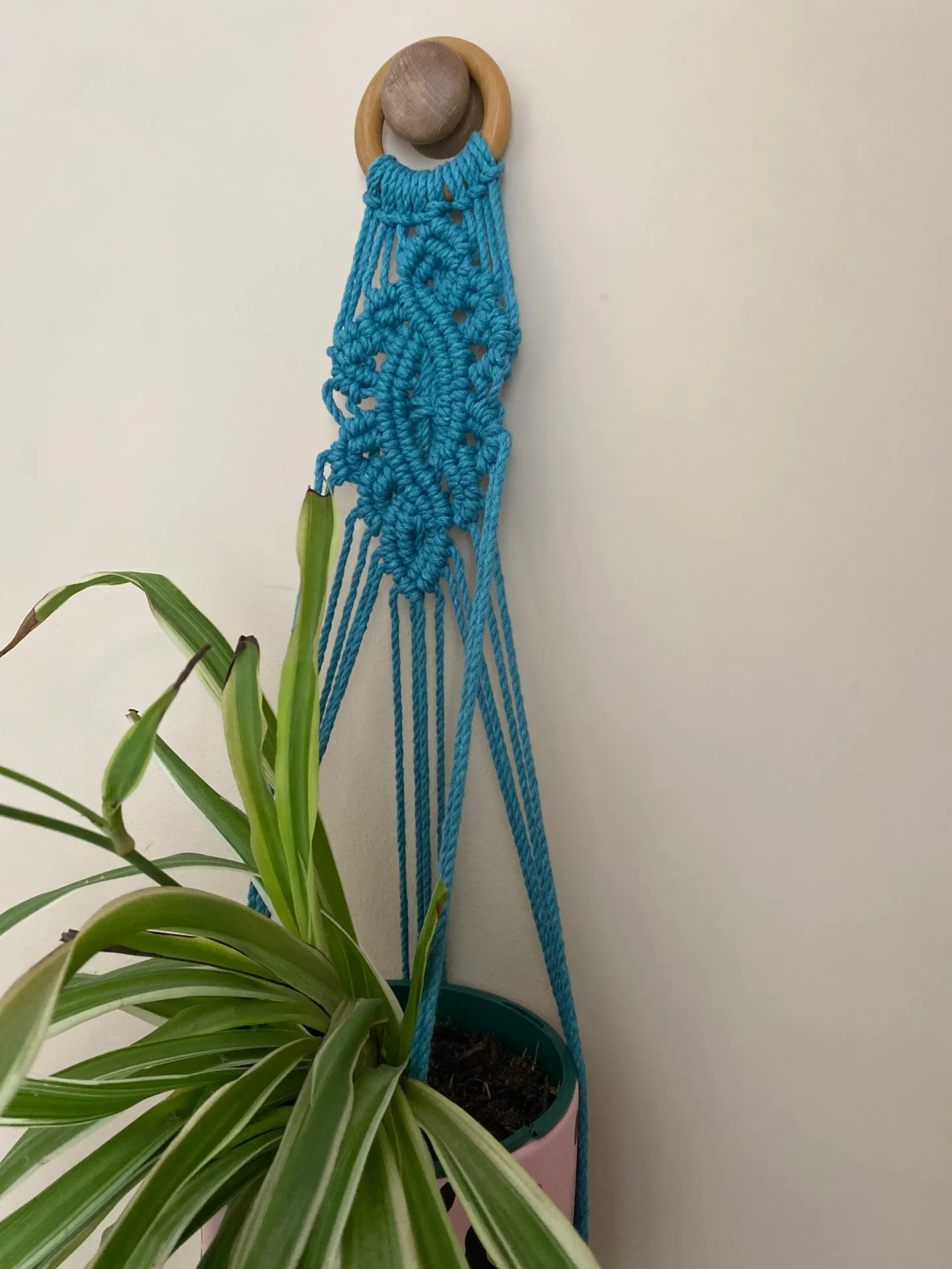 Macrame detailed wall hanging plant holder, made with recycled cotton