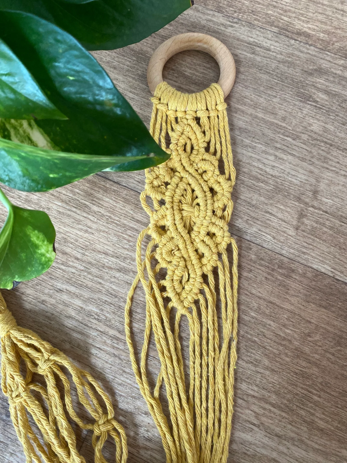 Macrame detailed wall hanging plant holder, made with recycled cotton