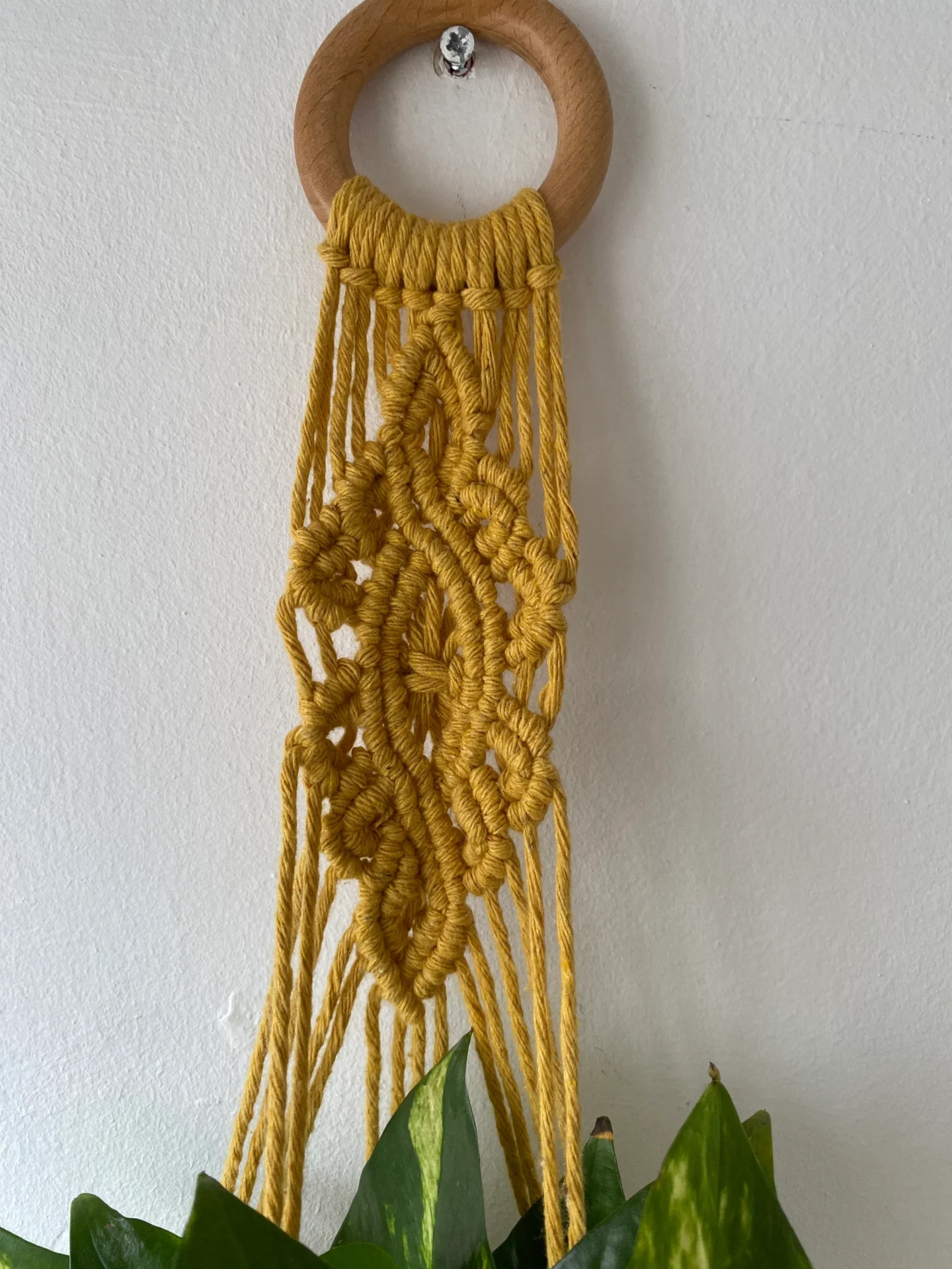 Macrame detailed wall hanging plant holder, made with recycled cotton