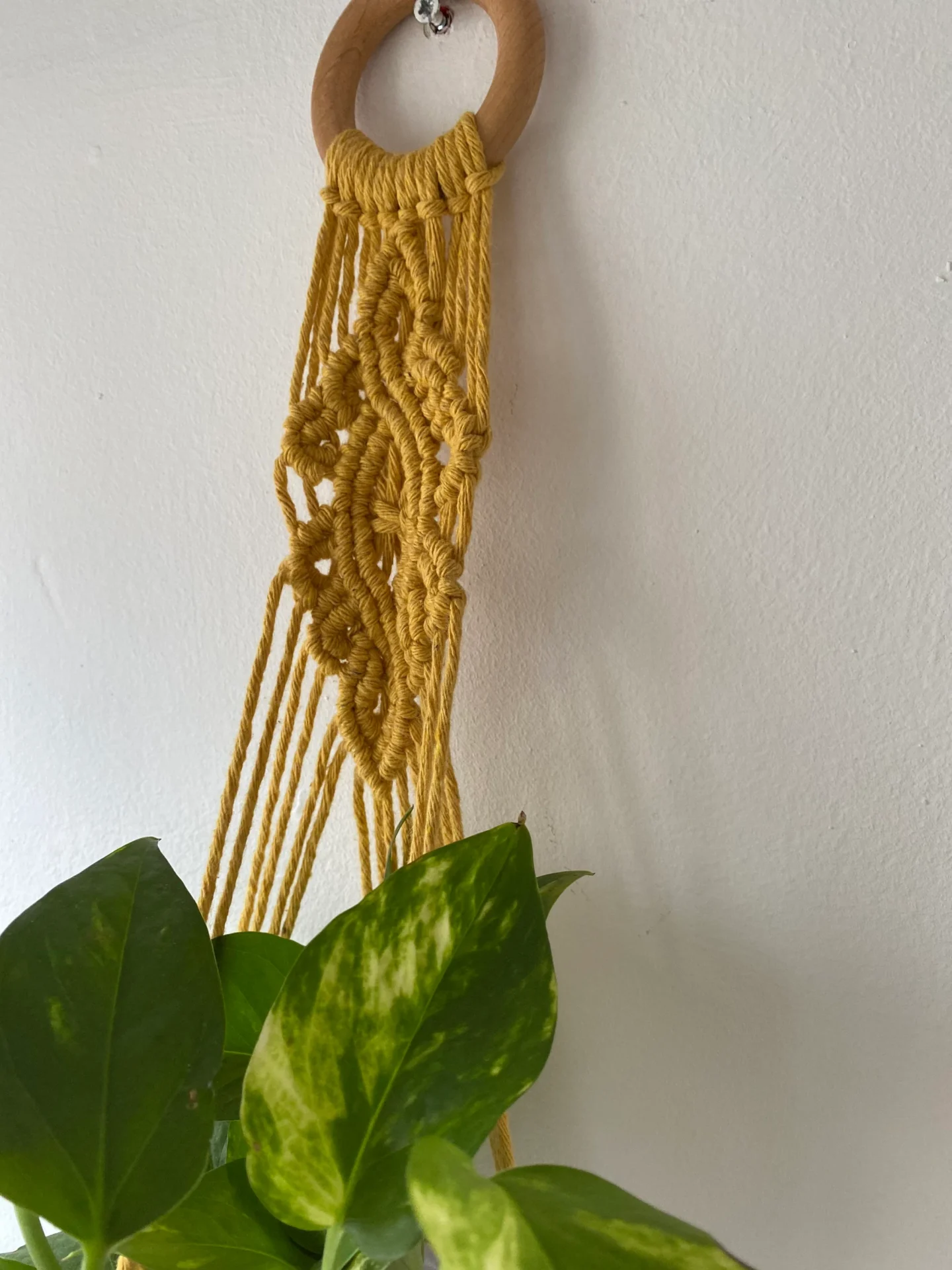 Macrame detailed wall hanging plant holder, made with recycled cotton