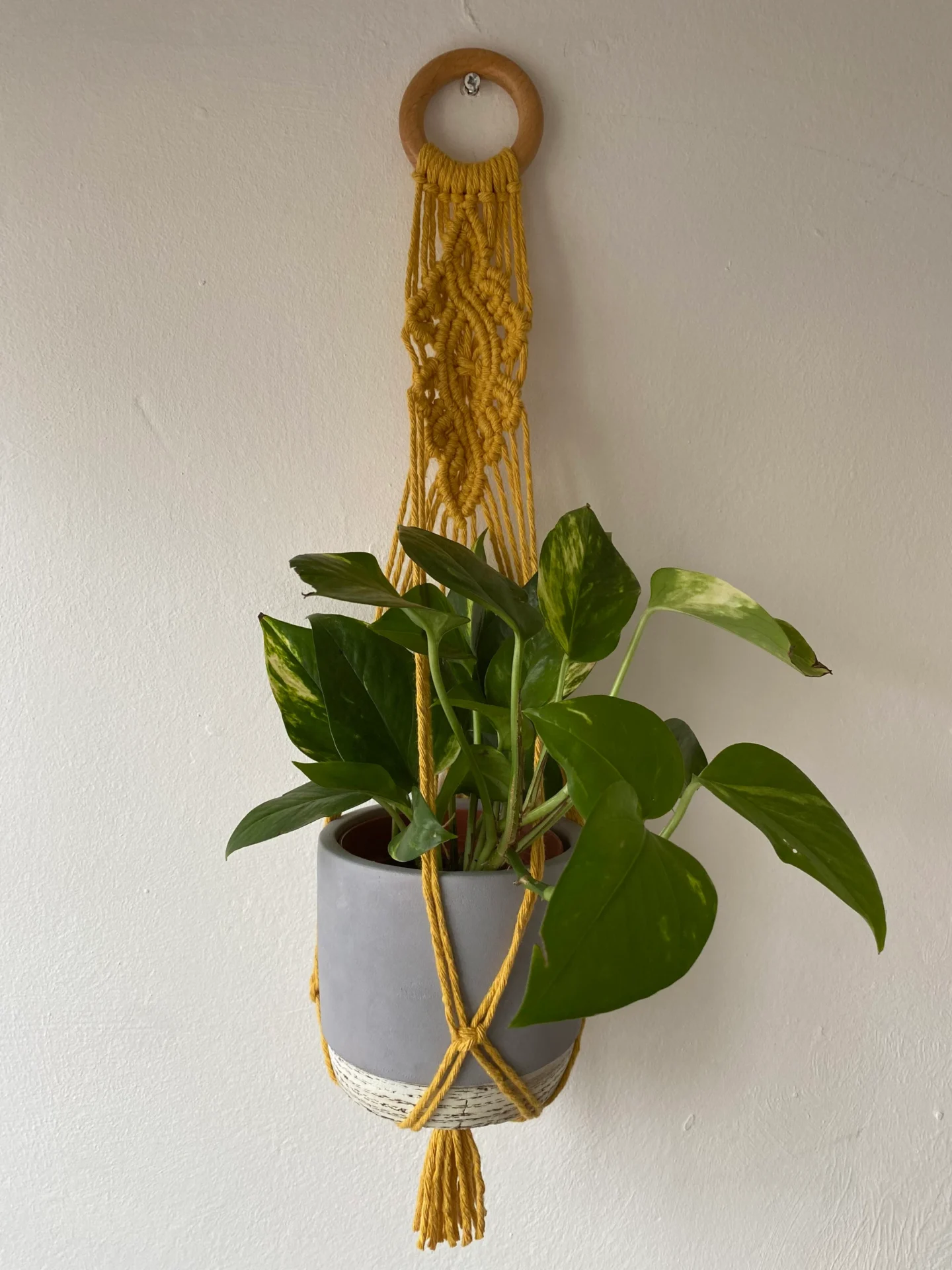 Macrame detailed wall hanging plant holder, made with recycled cotton