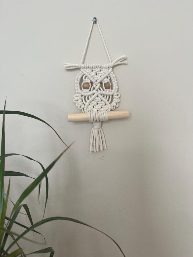 Macrame wall hanging decoration, made with eco friendly recycled cotton yarn