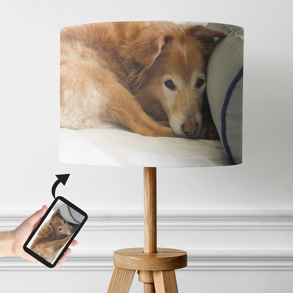 personalised lampshade pet photo lampshade dog cat pet owners gift lightshade