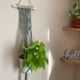 Wall hanging indoor plant hanger made with sage green recycled cotton