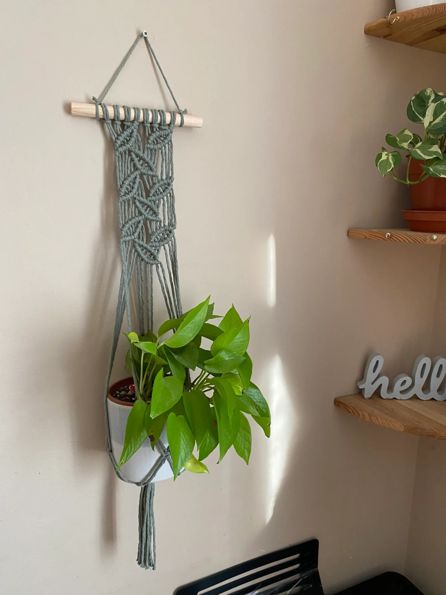 Wall hanging indoor plant hanger made with sage green recycled cotton