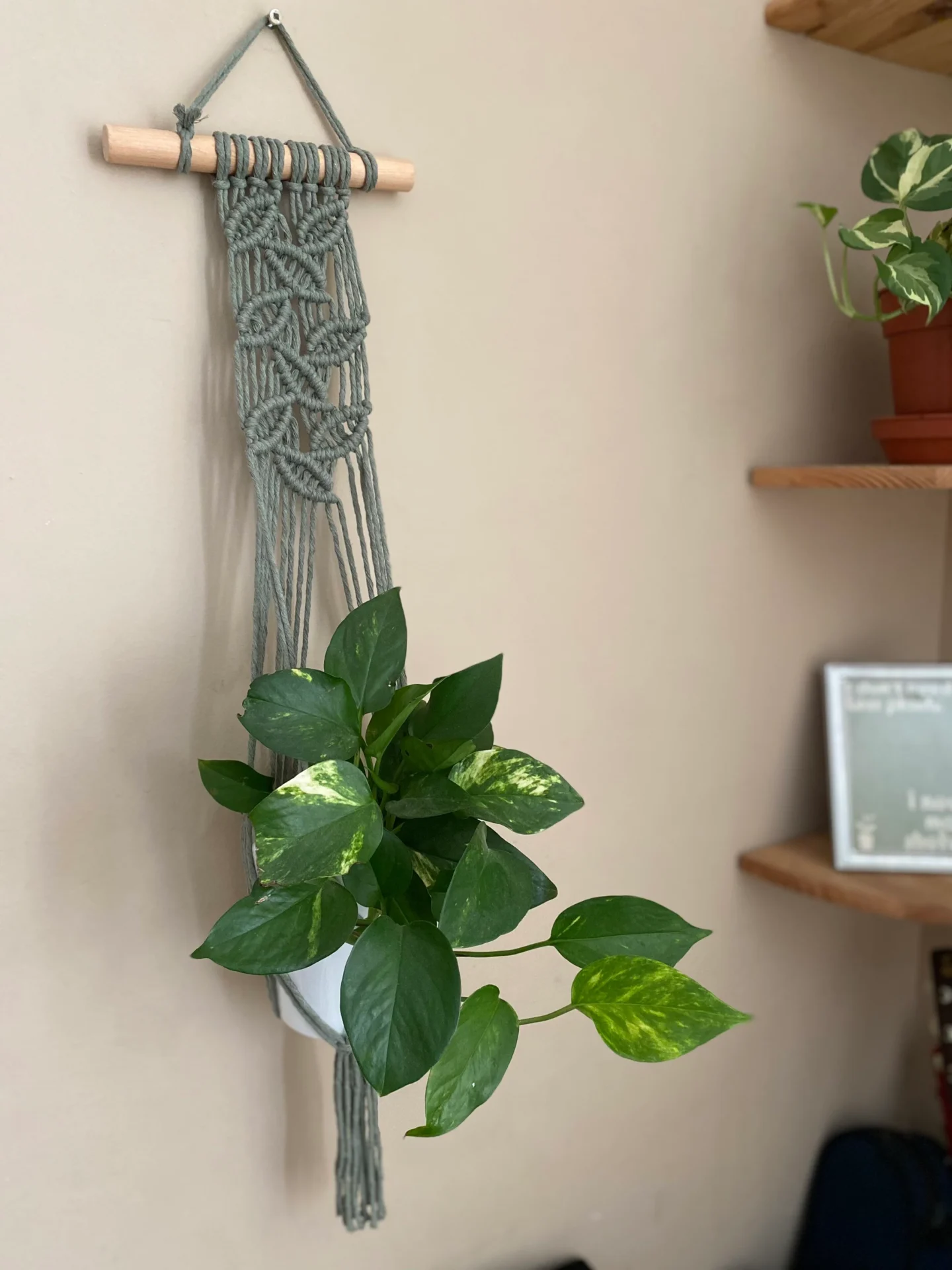 Wall hanging indoor plant hanger made with sage green recycled cotton