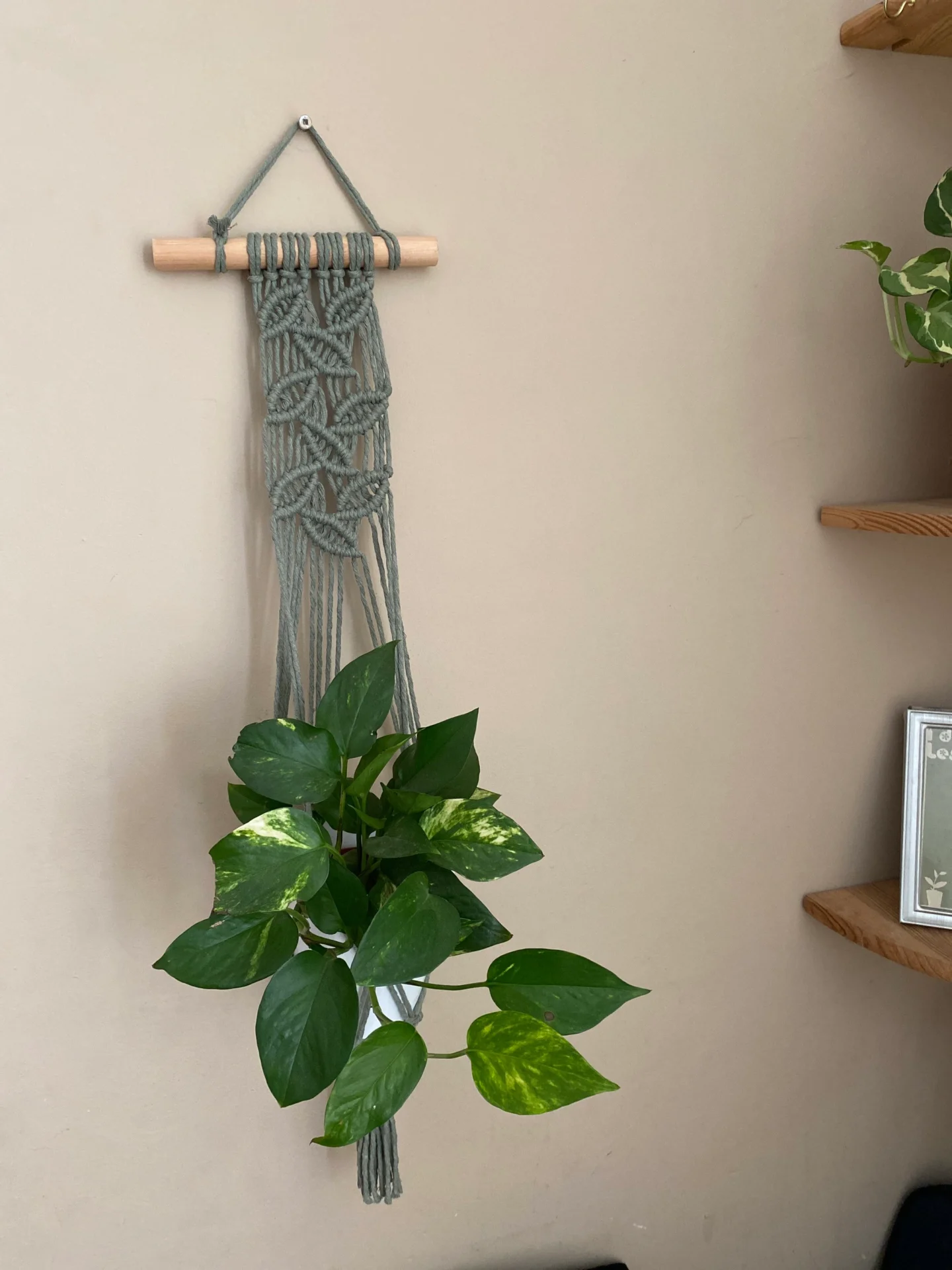 Wall hanging indoor plant hanger made with sage green recycled cotton