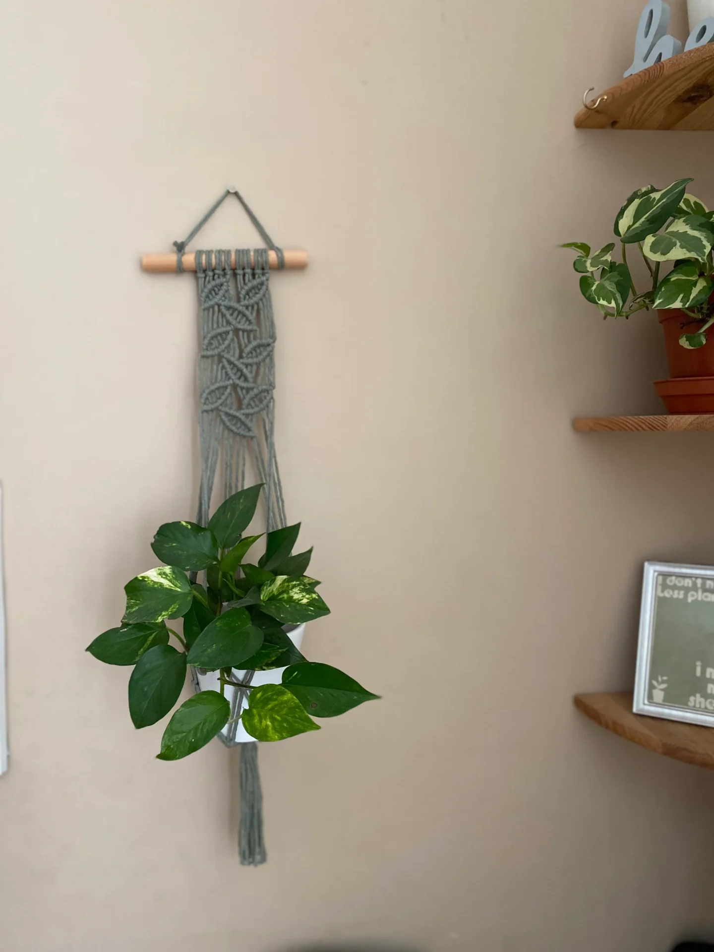 Wall hanging indoor plant hanger made with sage green recycled cotton